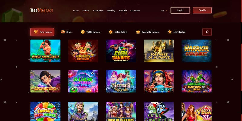 Types of Bovegas Casino Free Spins