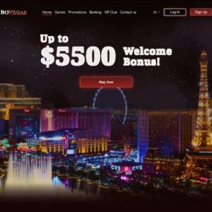 Ultimate Guide to Bovegas Casino Free Spins